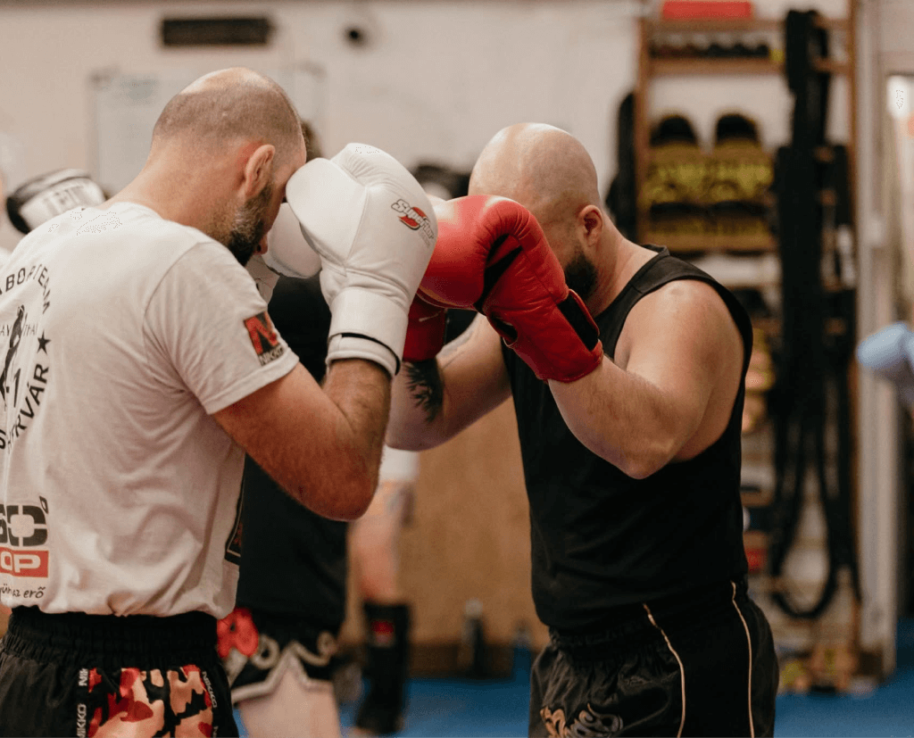 sparring-gabor-team