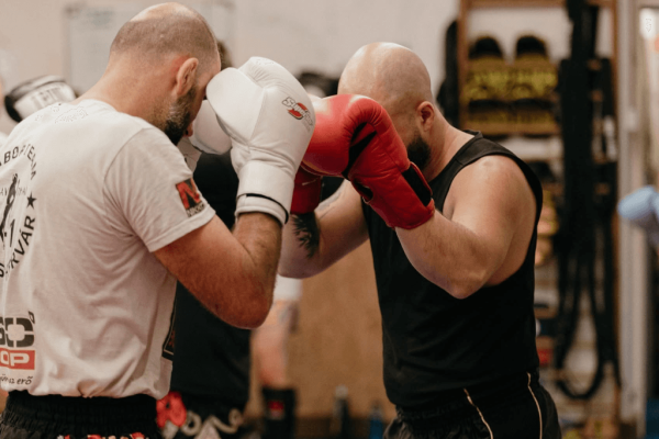 sparring-gabor-team
