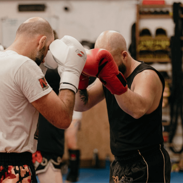 sparring-gabor-team